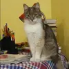 Отзыв от Марина Кочеткова